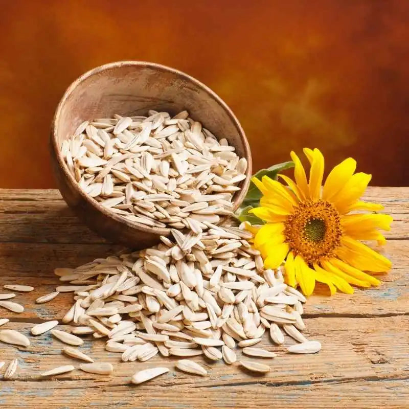 nutritional content sunflower seeds