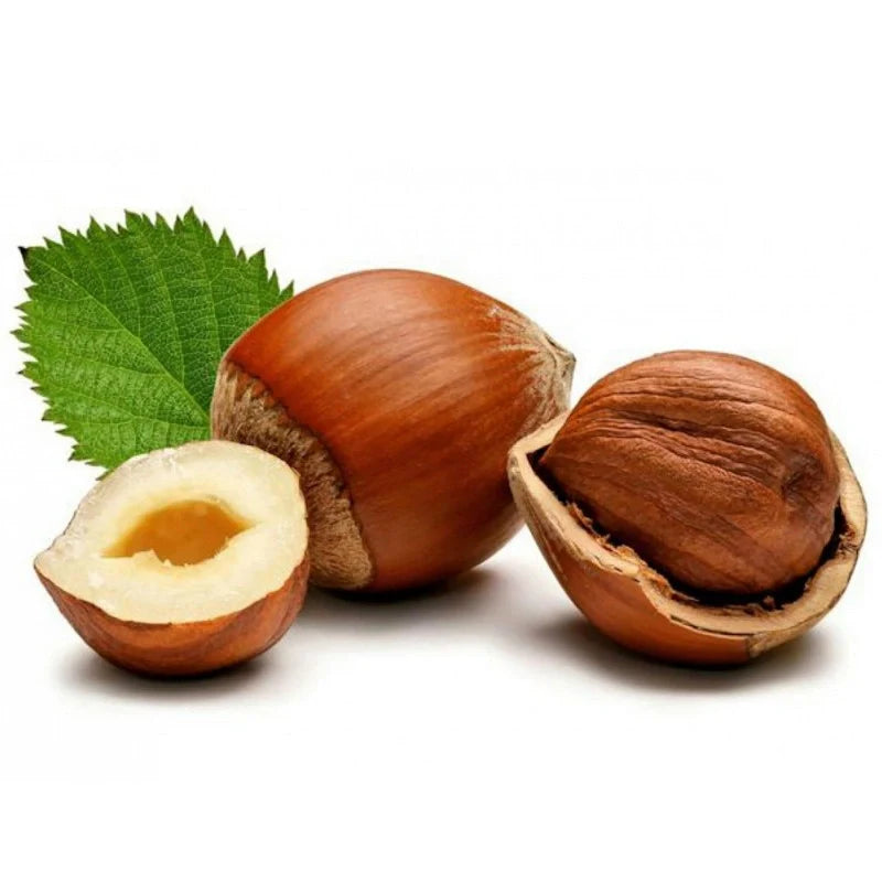 Hazelnut Good for Pregnancy