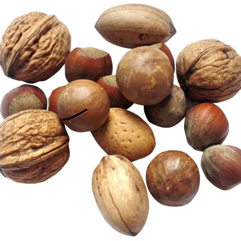 cheapest place to buy raw nuts