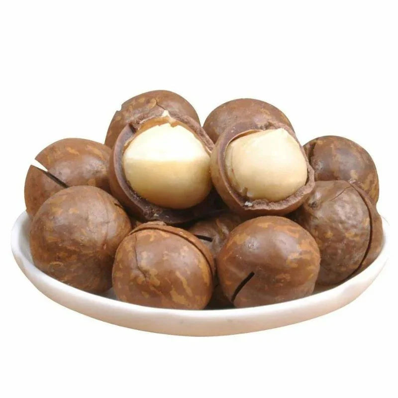 Macadamia Nuts Buy Online