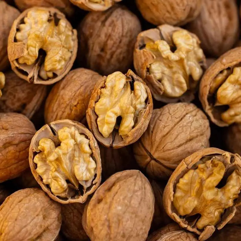 walnut what is it good for