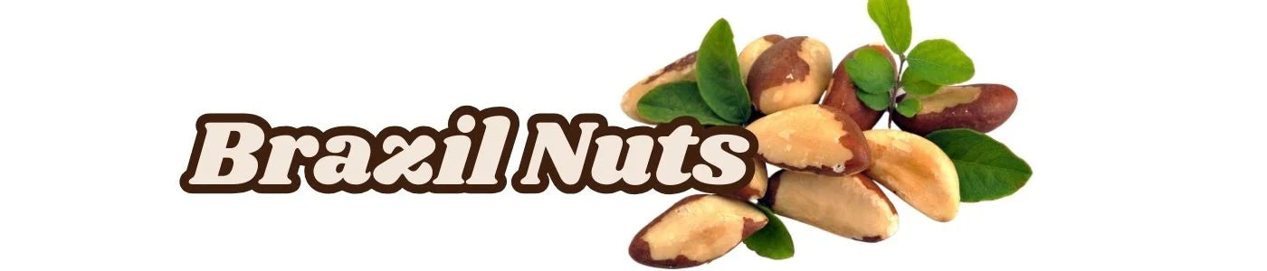 Brazil Nuts