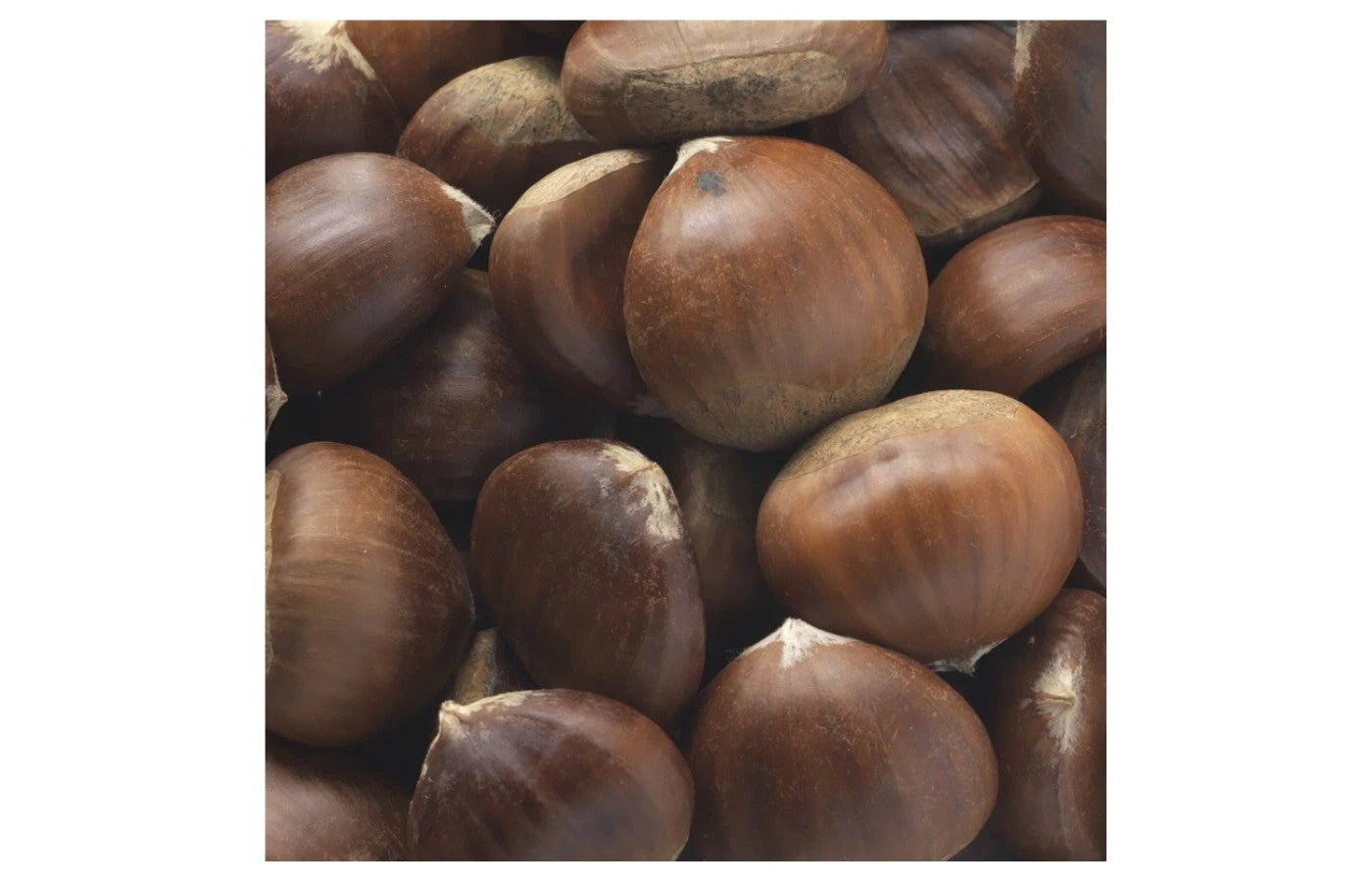 roasted chestnuts